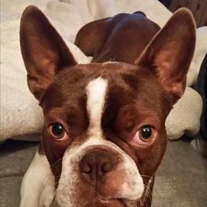 Meet your Posher, Joanna